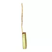 Bronze brushes 6x6x12,5 mm