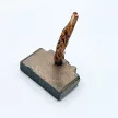 Bronzkefe készlet  (4db), Teherautó bosch önindító motorhoz méret: 6,5x28x18mm (28x6,5x18mm)