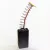 carbon brush 5,5x10x20mm (carbon brush 10x5,5x20mm)